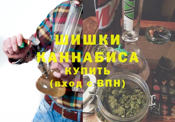 mdpv Ельня