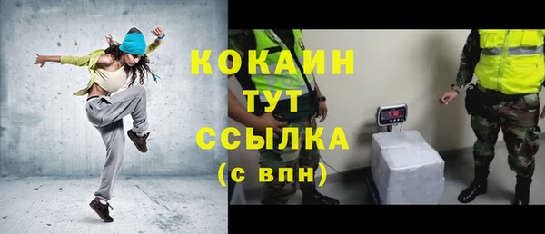 сатива Кинешма