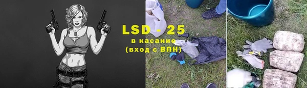 твердый Горняк