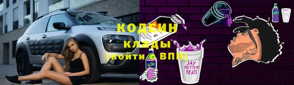 прущие грибы Алзамай