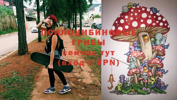 спайс Алексеевка