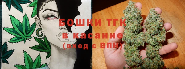 прущие грибы Алзамай