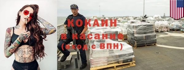 прущие грибы Алзамай