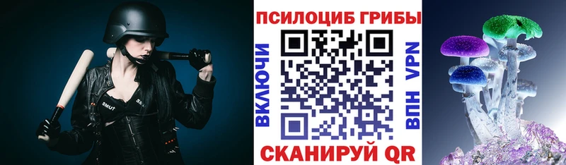 KRAKEN ТОР  цена   Коркино  Псилоцибиновые грибы Magic Shrooms 